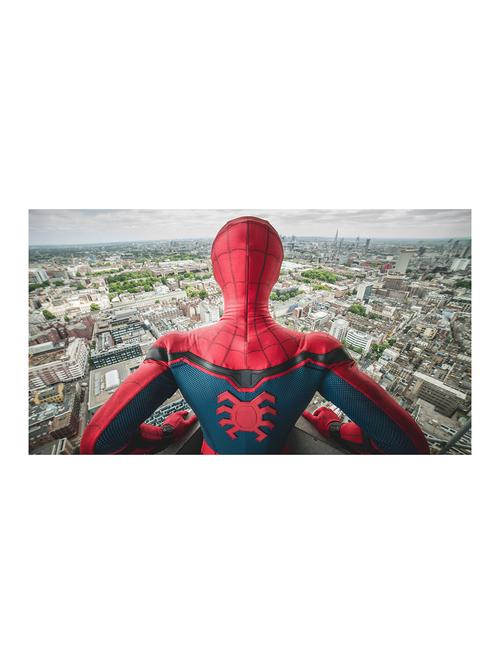 the print cart paper spiderman homecoming painting - 13972772 - Very Small Image - 1
