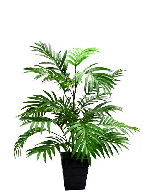 Fourwalls 75cm Artificial Areca Plant with 21 Leaves - 13980937 - Very Small Image - 1