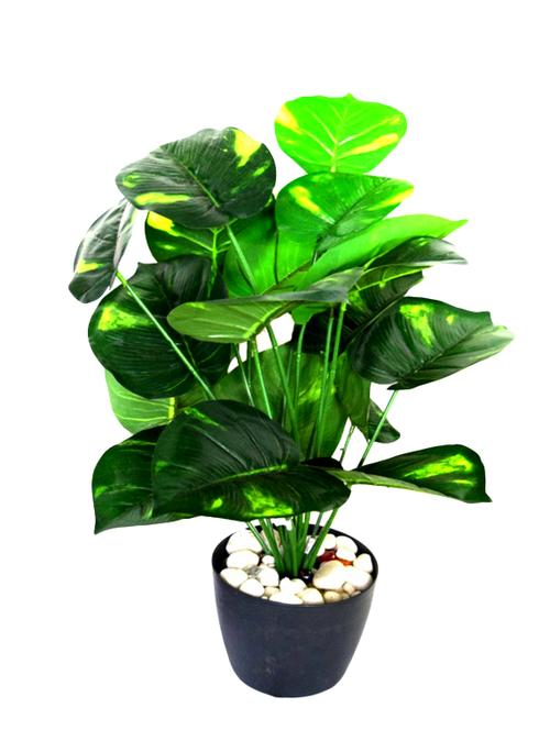 Fourwalls Miniature PVC Artificial Plant - 13980968 - Very Small Image - 1