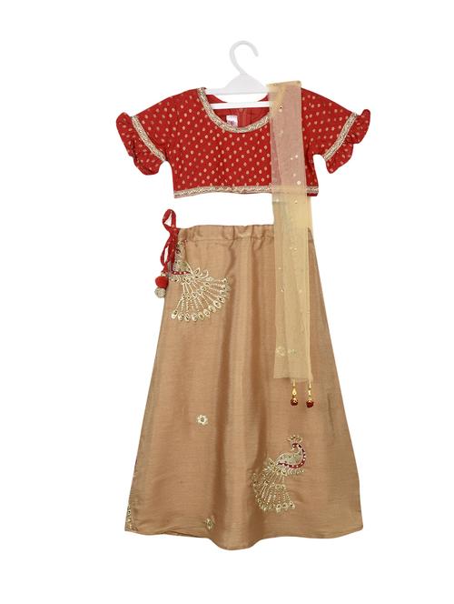 red and brown embroidered lehnga choli - 14451210 - Very Small Image - 1