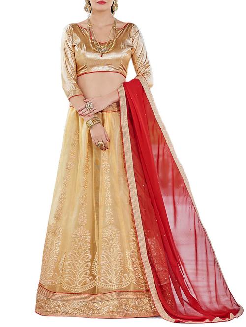 beige net aline lehenga - 14964520 - Very Small Image - 1