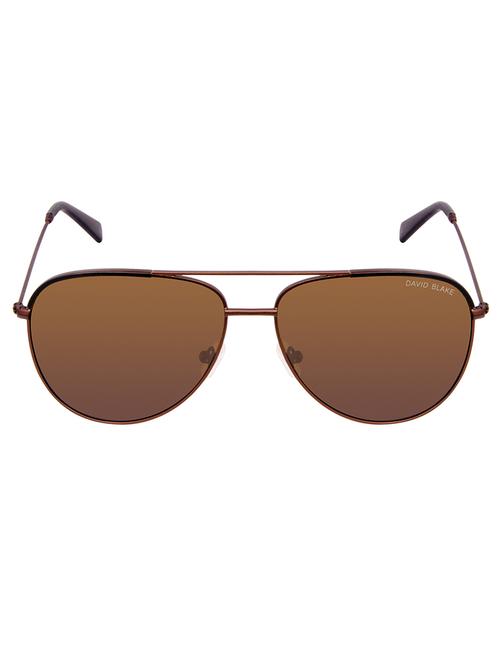 david blake brown aviator polarized & uv protected sunglass - 14967895 - Very Small Image - 1