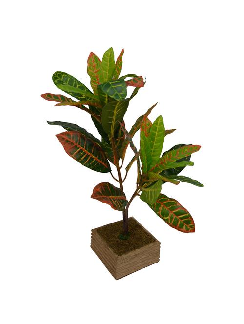 Artificial Plant Croton (50 cm/ 20 inchs) in comb 3" Wood pot - 14993920 - Very Small Image - 1