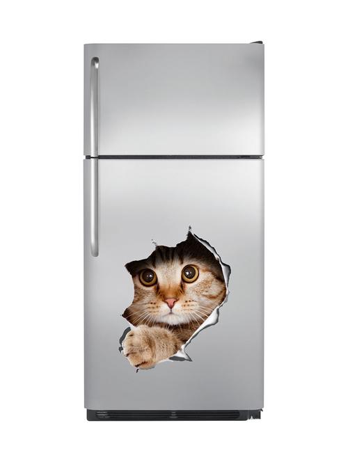fridge sticker ('cat 3d'  pvc vinyl sticker, cover area 43x57 cm) - 15203502 - Very Small Image - 1