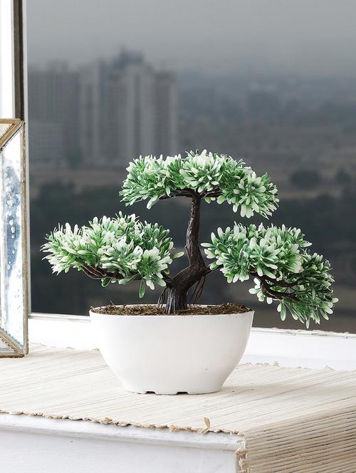 3 headed bonsai tree with greenish white leaves |white oval shaped pot with real looking grass - 15640329 - Very Small Image - 1