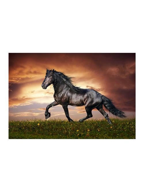 rawpockets"black horse wallpaper"wall posters (paperboard,33cmx48cm) - 15732224 - Very Small Image - 1