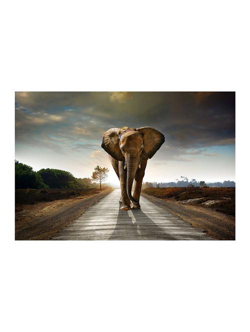 rawpockets"elephant wallpaper"wall posters (paperboard,33cmx48cm) - 15732238 - Very Small Image - 1