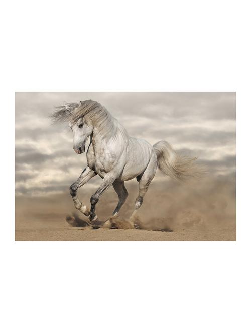 rawpockets"white horse"wall posters (paperboard,33cmx48cm) - 15732309 - Very Small Image - 1