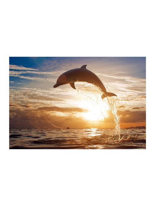 rawpockets"dolphin wallpaper"wall posters (paperboard,33cmx48cm) - 15732395 - Very Small Image - 1