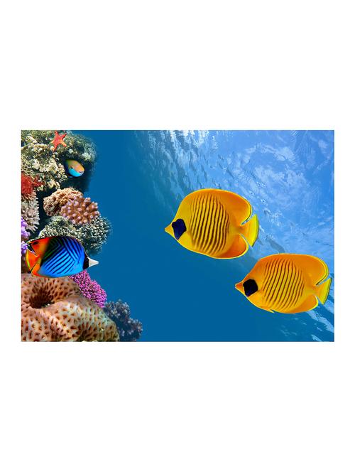 rawpockets"fish wallpaper"wall posters (paperboard,33cmx48cm) - 15732412 - Very Small Image - 1
