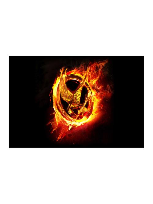 rawpockets"hunger games bird fire h"wall posters (paperboard,33cmx48cm) - 15732444 - Very Small Image - 1