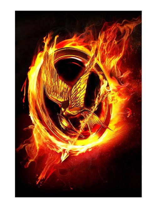 rawpockets"hunger games bird ring"wall posters (paperboard,33cmx48cm) - 15732446 - Very Small Image - 1