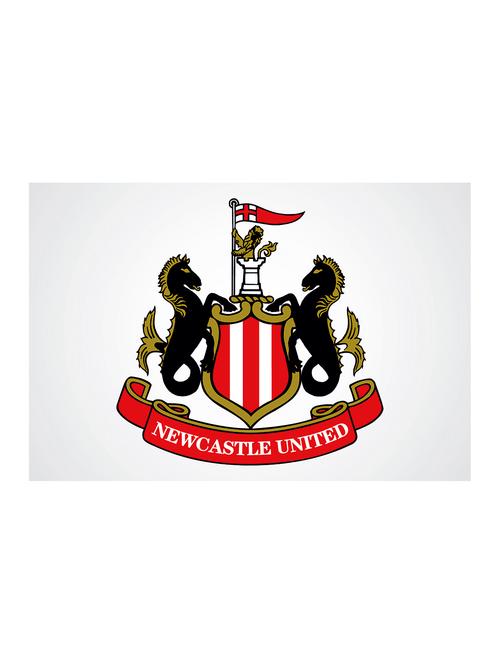 rawpockets"newcastle united"wall posters (paperboard,33cmx48cm) - 15732458 - Very Small Image - 1