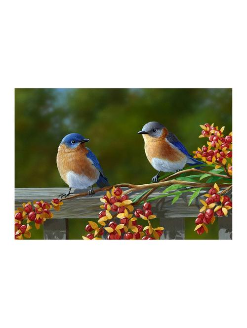 rawpockets"beautiful birds on fence"wall posters (paperboard,33cmx48cm) - 15732526 - Very Small Image - 1