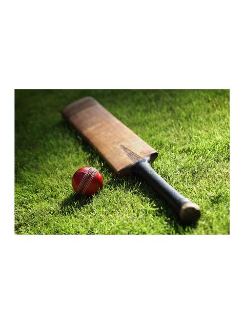 rawpockets"its a cricket !"wall posters (paperboard,33cmx48cm) - 15732678 - Very Small Image - 1