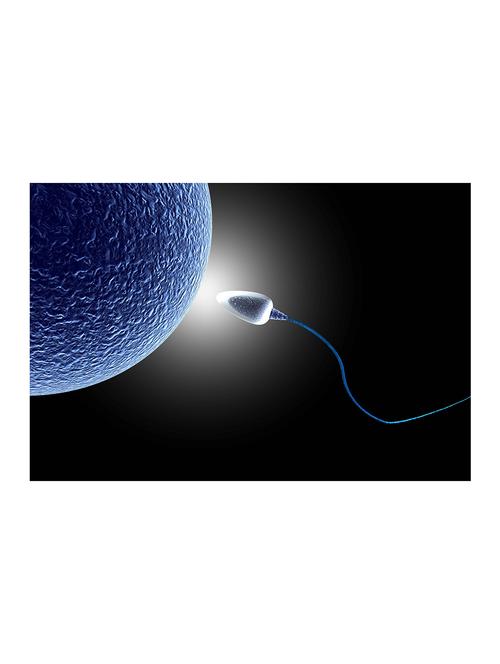 rawpockets"sperm abstraction"wall posters (paperboard,33cmx48cm) - 15732830 - Very Small Image - 1