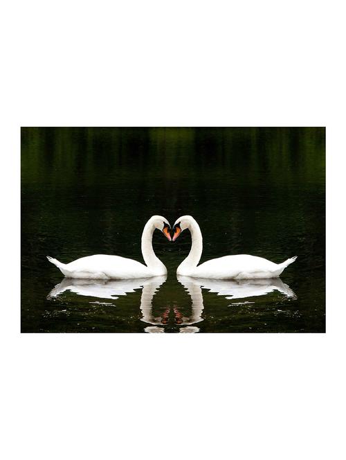 rawpockets"swan love"wall posters (paperboard,33cmx48cm) - 15732850 - Very Small Image - 1