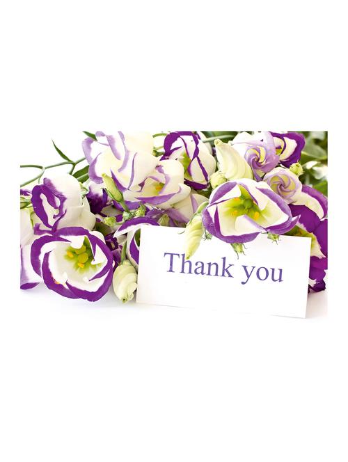 rawpockets"thank you"wall posters (paperboard,33cmx48cm) - 15732861 - Very Small Image - 1