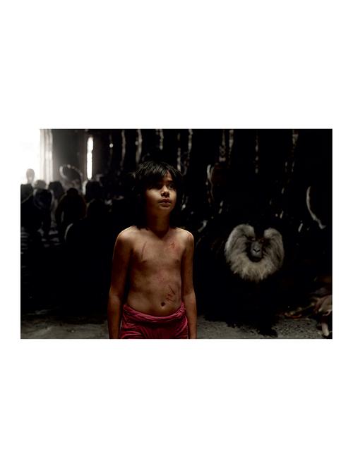 rawpockets"the jungle book"wall posters (paperboard,33cmx48cm) - 15732866 - Very Small Image - 1