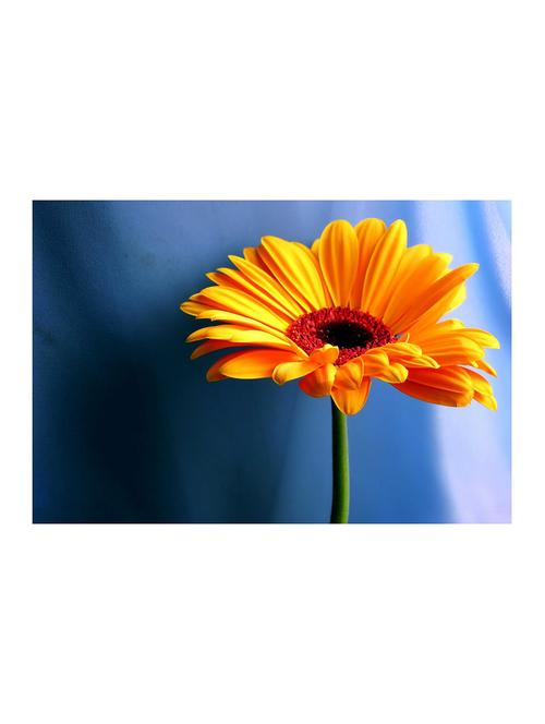 rawpockets"flower"wall posters (paperboard,33cmx48cm) - 15732935 - Very Small Image - 1