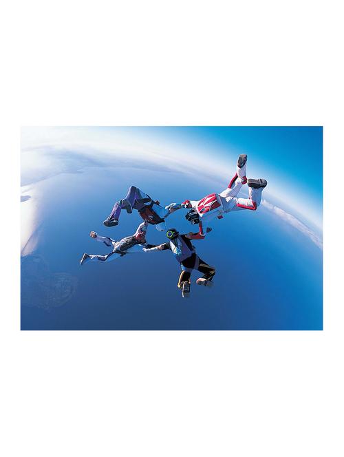 rawpockets"sking"wall posters (paperboard,33cmx48cm) - 15732964 - Very Small Image - 1