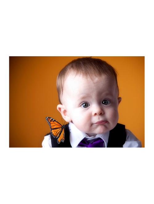 rawpockets"baby with butterfly"wall posters (paperboard,33cmx48cm) - 15732974 - Very Small Image - 1