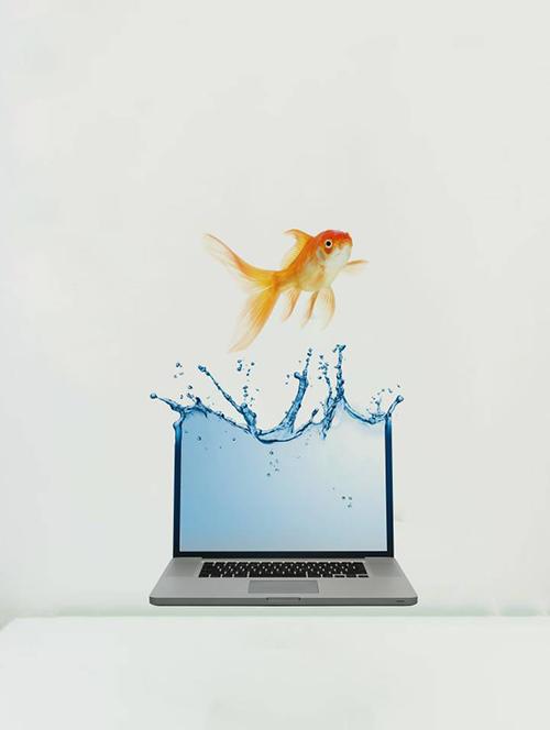 rawpockets wall decals ' fish and laptop abstract  '  wall stickers (pvc vinyl) multicolour - 15733900 - Very Small Image - 1