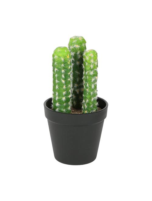 artificial plastic cactus with abs plastic pot by aapno rajasthan - 15970687 - Very Small Image - 1