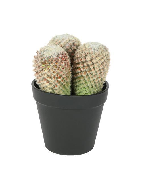 artificial plastic cactus with abs plastic pot by aapno rajasthan - 15970689 - Very Small Image - 1