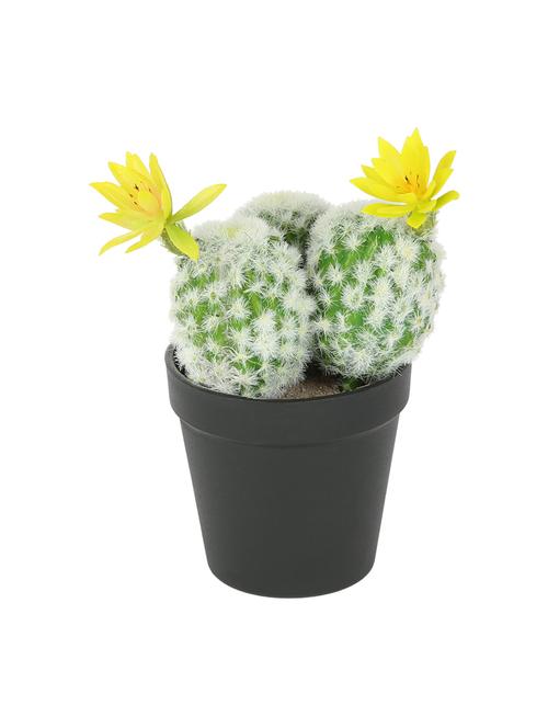 artificial plastic cactus and  beautiful yellow flower with abs plastic pot by aapno rajasthan - 15970690 - Very Small Image - 1
