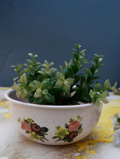  planter cum flower pot - 17441561 - Very Small Image - 1