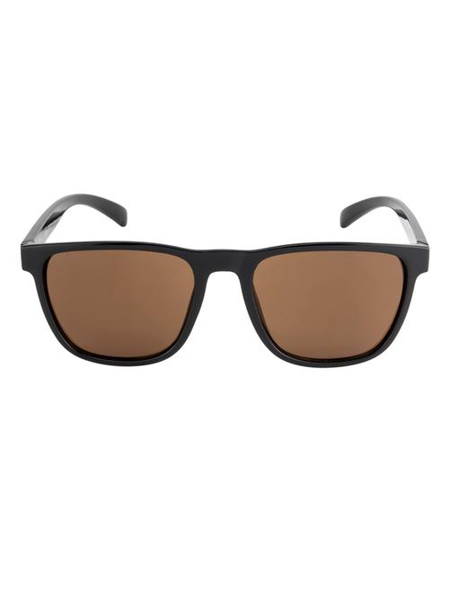 brown racer wayfarer sunglasses  - 18462310 - Very Small Image - 1