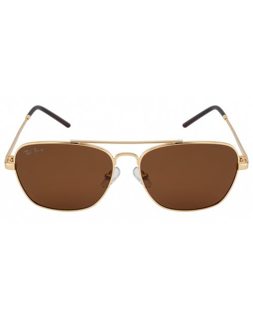 aster aviator in brown sunglasses  - 18462400 - Very Small Image - 1