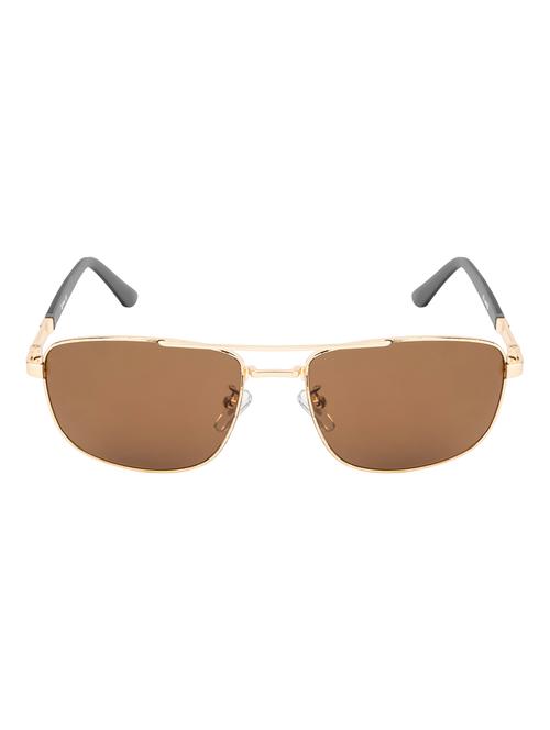 spenler aviator in brown sunglasses  - 18462469 - Very Small Image - 1
