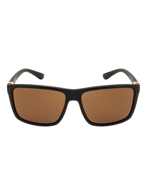 blazed wayfarer in brown sunglasses  - 18462512 - Very Small Image - 1