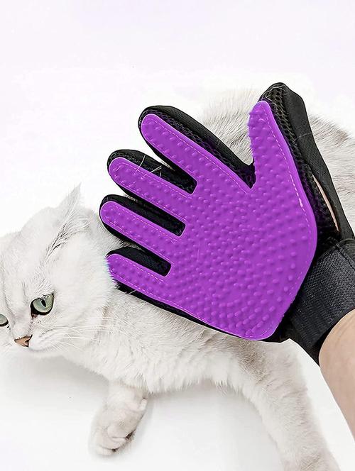 purple rubber pet grooming glofe - 18697332 - Very Small Image - 1