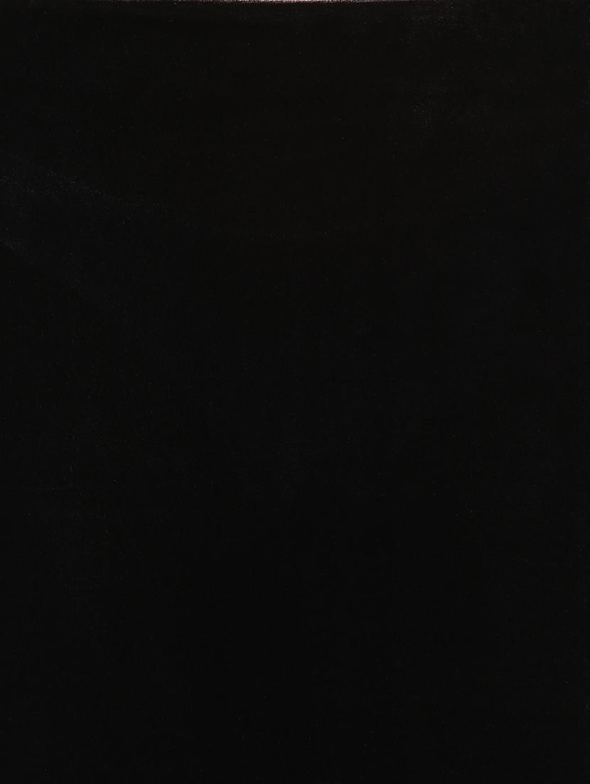 black velvet midi skirt - 20538701 - Standard Image - 5