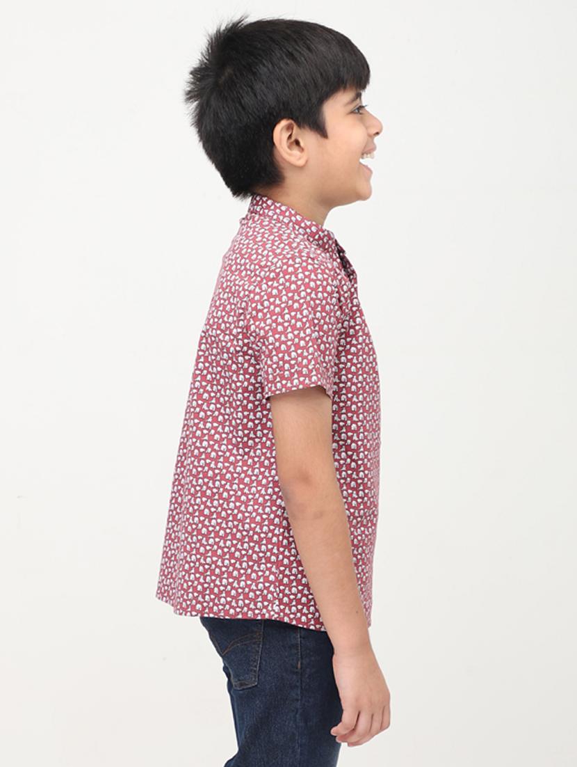 boys printed short sleeve kurta - 21572560 - Standard Image - 1