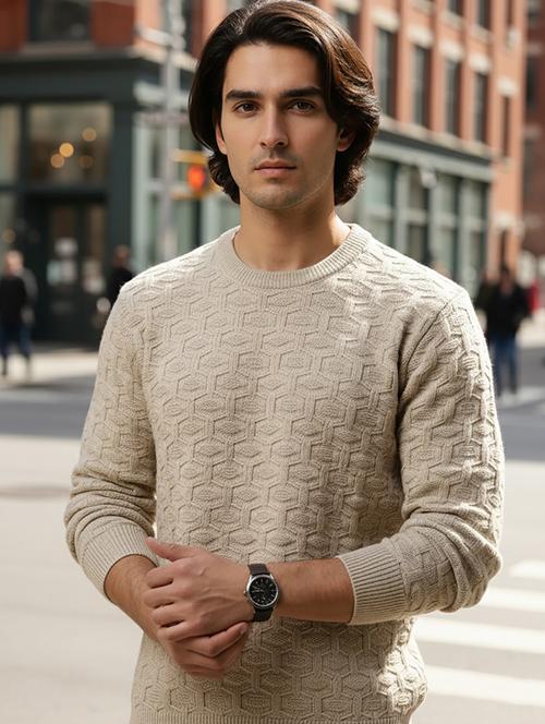 men self design long sleeve regular fit pullover  - 22279174 - Very Small Image - 1