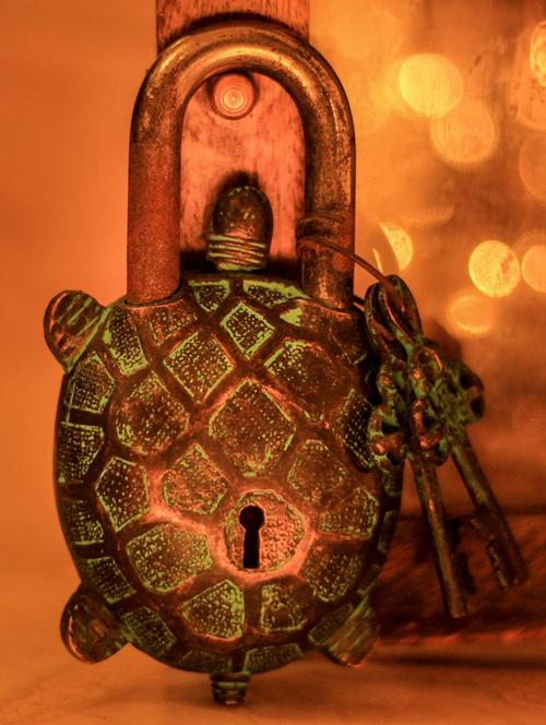 turtle secret brass lock - 891549 - Very Small Image - 1