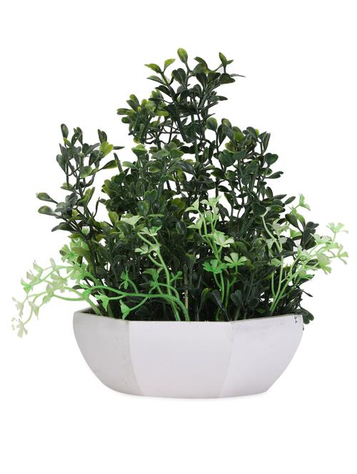 green forest for the sise table - 960478 - Very Small Image - 1